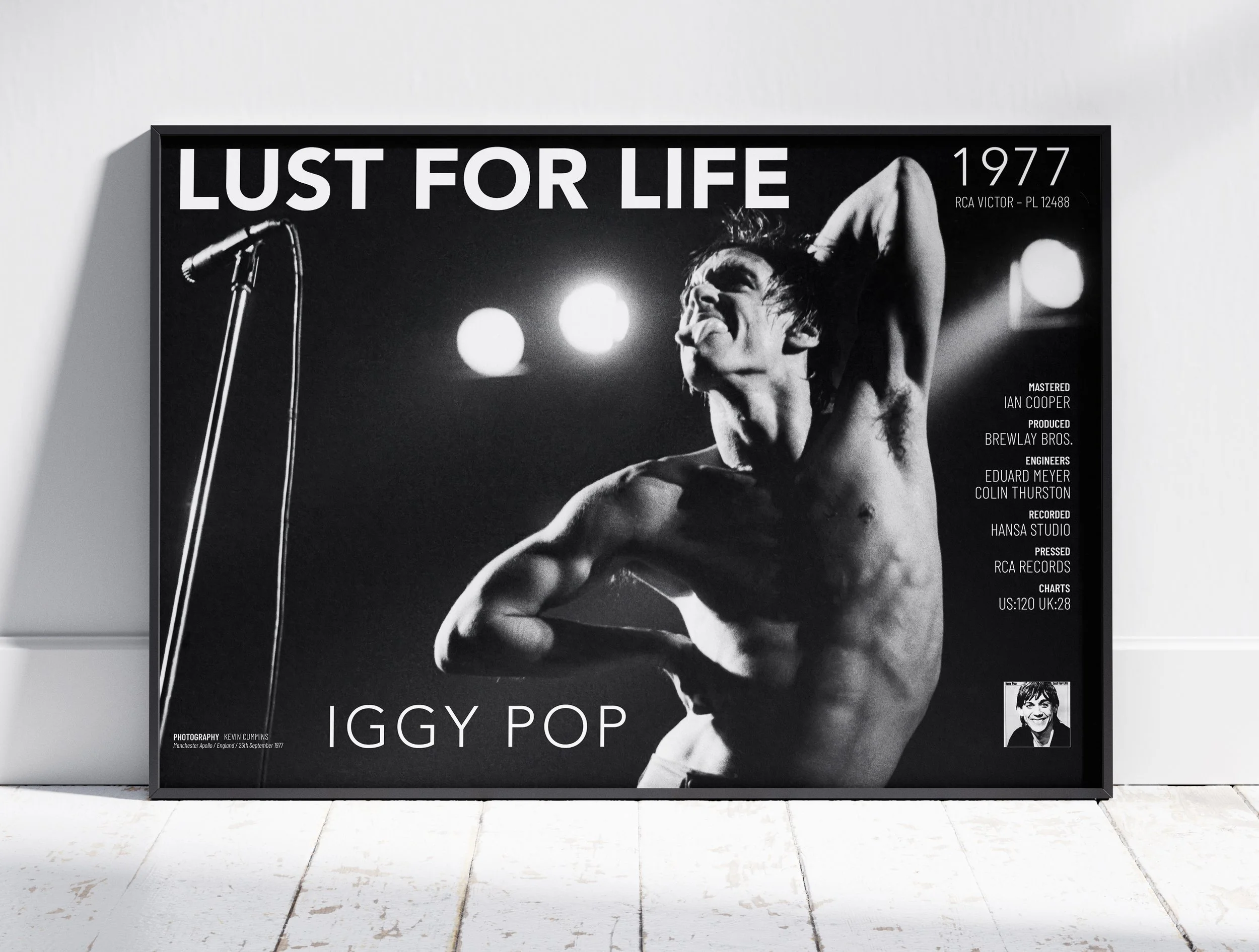 Iggy Pop Lust For Life — musicposters.store